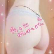 ヒメ日記 2025/05/23 17:16 投稿 中村美紀子 五十路マダム　広島店