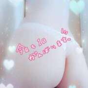 ヒメ日記 2025/10/06 18:16 投稿 中村美紀子 五十路マダム　広島店