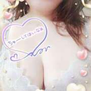 ヒメ日記 2025/11/26 01:16 投稿 中村美紀子 五十路マダム　広島店