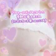 ヒメ日記 2025/12/07 02:16 投稿 中村美紀子 五十路マダム　広島店