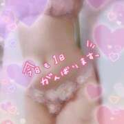 ヒメ日記 2025/12/26 17:16 投稿 中村美紀子 五十路マダム　広島店