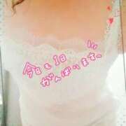 ヒメ日記 2026/02/06 11:02 投稿 中村美紀子 五十路マダム　広島店