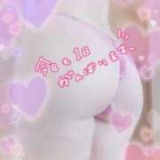 ヒメ日記 2026/03/14 17:30 投稿 中村美紀子 五十路マダム　広島店