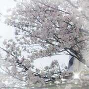 ヒメ日記 2026/04/07 12:22 投稿 中村美紀子 五十路マダム　広島店