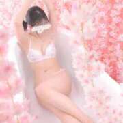 ヒメ日記 2025/04/30 00:30 投稿 さゆ The White