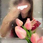 ヒメ日記 2025/08/07 20:16 投稿 さゆ The White