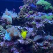 ヒメ日記 2025/08/17 19:06 投稿 さゆ The White