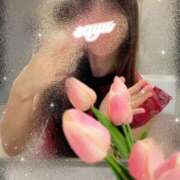 ヒメ日記 2025/12/16 05:15 投稿 さゆ The White