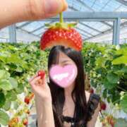 ヒメ日記 2026/03/31 08:01 投稿 さゆ The White