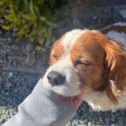 ヒメ日記 2025/05/05 05:12 投稿 あこ 君とふわふわプリンセスin立川