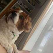 ヒメ日記 2025/06/25 12:22 投稿 あこ 君とふわふわプリンセスin立川