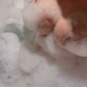 ヒメ日記 2024/12/13 00:10 投稿 あいみ 人妻美人館