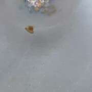 ヒメ日記 2025/11/29 21:31 投稿 あいみ 人妻美人館