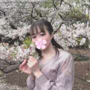 ヒメ日記 2025/04/13 06:00 投稿 小野 人妻楼 木更津店