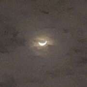 のん のん（奥様さくら京橋店） 奥さまさくら京橋店