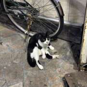 ヒメ日記 2025/10/07 22:05 投稿 あかり Club Melty