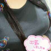 ヒメ日記 2025/04/27 14:32 投稿 のん clubさくら京橋店