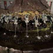 ヒメ日記 2026/01/01 02:08 投稿 いおり 横浜コスプレデビュー（シンデレラグループ）