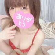 ヒメ日記 2026/02/08 16:40 投稿 すもも にゃんだ☆full☆MIX（にゃんだふるみっくす）