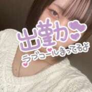 ヒメ日記 2025/02/02 14:57 投稿 こなつ 素敵な女の子は好きですか？