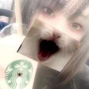 ヒメ日記 2025/03/11 11:27 投稿 こなつ 素敵な女の子は好きですか？