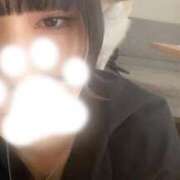 ヒメ日記 2025/03/26 23:18 投稿 こなつ 素敵な女の子は好きですか？