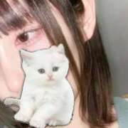 ヒメ日記 2025/04/14 10:03 投稿 こなつ 素敵な女の子は好きですか？