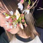 ヒメ日記 2025/04/18 00:18 投稿 こなつ 素敵な女の子は好きですか？