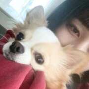 ヒメ日記 2025/04/24 16:48 投稿 こなつ 素敵な女の子は好きですか？