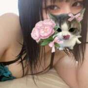 ヒメ日記 2025/05/16 16:42 投稿 こなつ 素敵な女の子は好きですか？