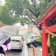 ヒメ日記 2025/05/31 17:48 投稿 こなつ 素敵な女の子は好きですか？