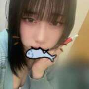 ヒメ日記 2025/06/15 03:48 投稿 こなつ 素敵な女の子は好きですか？