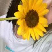 ヒメ日記 2025/07/11 00:03 投稿 こなつ 素敵な女の子は好きですか？