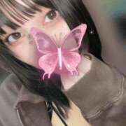 ヒメ日記 2025/08/31 00:48 投稿 こなつ 素敵な女の子は好きですか？