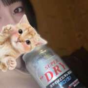 ヒメ日記 2025/09/07 01:09 投稿 こなつ 素敵な女の子は好きですか？