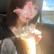 ヒメ日記 2025/09/14 09:21 投稿 こなつ 素敵な女の子は好きですか？