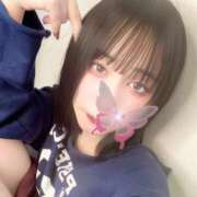 ヒメ日記 2025/09/16 07:09 投稿 こなつ 素敵な女の子は好きですか？