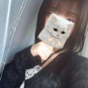 ヒメ日記 2025/09/17 08:18 投稿 こなつ 素敵な女の子は好きですか？