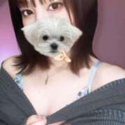 ヒメ日記 2025/09/20 23:30 投稿 こなつ 素敵な女の子は好きですか？