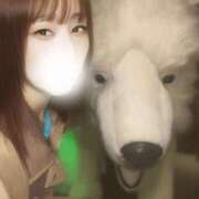 ヒメ日記 2025/11/02 06:03 投稿 こなつ 素敵な女の子は好きですか？