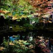 ヒメ日記 2025/11/11 23:33 投稿 こなつ 素敵な女の子は好きですか？