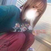 ヒメ日記 2025/11/16 08:18 投稿 こなつ 素敵な女の子は好きですか？