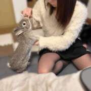 ヒメ日記 2026/01/31 08:18 投稿 こなつ 素敵な女の子は好きですか？