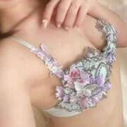 ヒメ日記 2026/02/03 06:12 投稿 こなつ 素敵な女の子は好きですか？