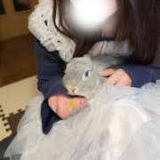 ヒメ日記 2026/03/08 14:18 投稿 こなつ 素敵な女の子は好きですか？