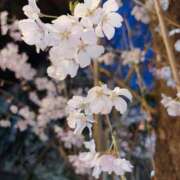 ヒメ日記 2026/04/01 18:48 投稿 こなつ 素敵な女の子は好きですか？