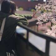 ヒメ日記 2026/04/07 18:48 投稿 こなつ 素敵な女の子は好きですか？