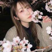 ヒメ日記 2026/04/14 10:36 投稿 こなつ 素敵な女の子は好きですか？