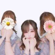 ヒメ日記 2026/07/12 11:03 投稿 こなつ 素敵な女の子は好きですか？