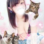 ヒメ日記 2025/12/22 04:33 投稿 なるみ 秋葉原コスプレ学園in仙台